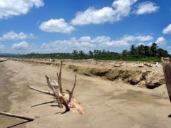 Strandgrundstücke im Bereich Puerto Plata / DOM