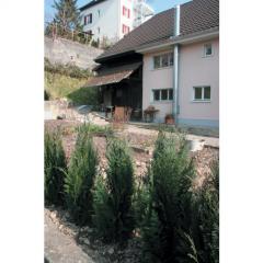 Rückbau (n.V.)