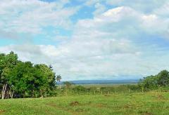 Granja in Paraguay, Ihre neue Existenz?