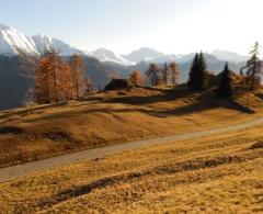 Bauland in schönster Lage in der Aletscharena Riederalp