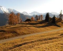 Bauland in schnster Lage in der Aletscharena Riederalp