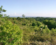 Groes Grundstck mit Meerblick