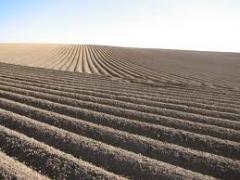 1000 ha Acker und 400 ha Acker in Rumänien zu verkaufen